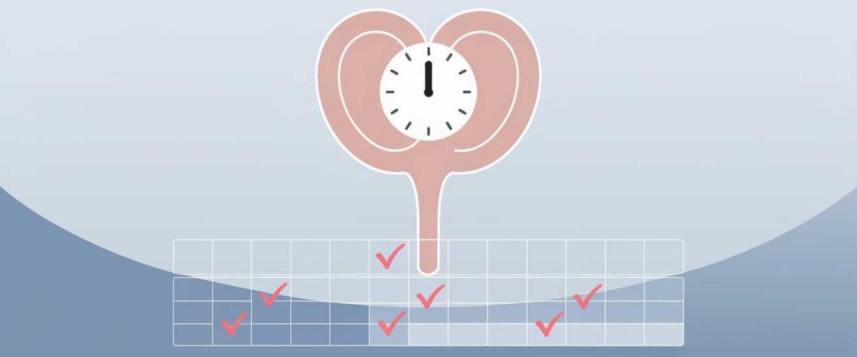 Optimiser Votre Confort : Le Calendrier Mictionnel Pour Une Meilleure Santé Urinaire